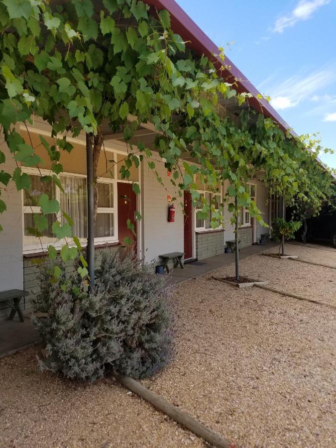 Glossop Motel Winkie エクステリア 写真